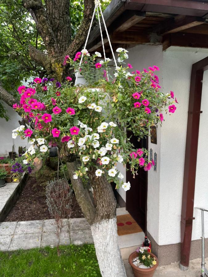 Apartments Music, Garden And Free Parking Sarajevo Luaran gambar